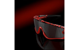 P&auml;ikeseprillid OAKLEY Jawbreaker Red Tiger Prizm Black