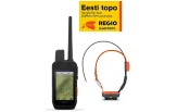 Koera GPS Garmin Alpha 300i +T20 rihm ja Regio Topo kaart