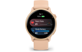 Nutikell Garmin vivoactive 6 Pink Dawn