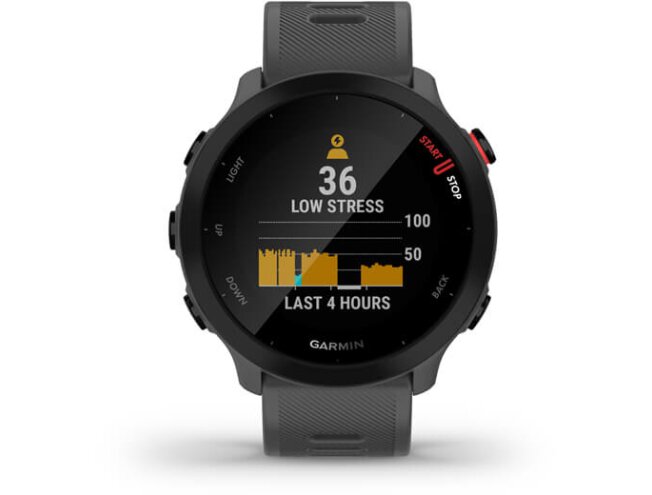 Spordikell Garmin Forerunner 55 hall