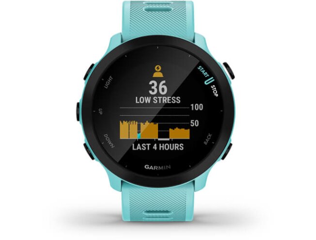Spordikell Garmin Forerunner 55 sinine