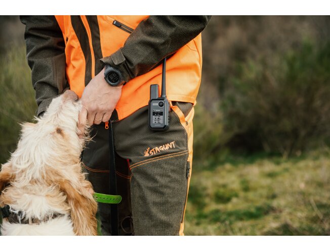 Koera GPS Garmin Alpha 10