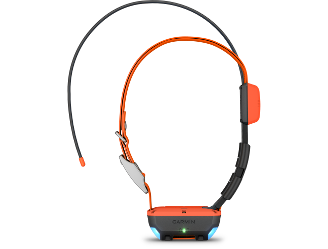 Koera GPS Garmin Alpha 300 +T20 rihm ja Regio Topo kaart