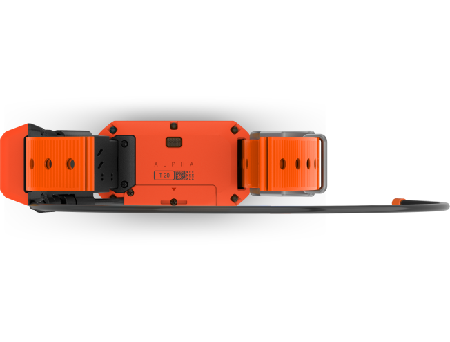 Alpha T20 koera kaelarihm