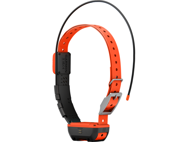 Alpha T20 koera kaelarihm