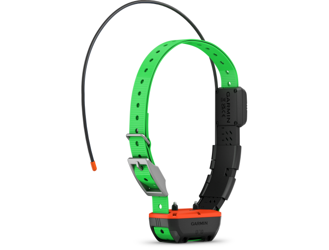 Alpha TT25 koera kaelarihm