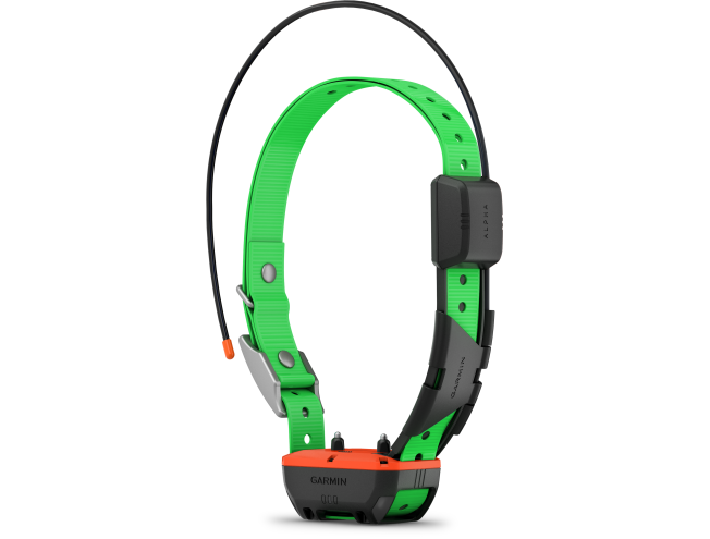 Alpha TT25 koera kaelarihm