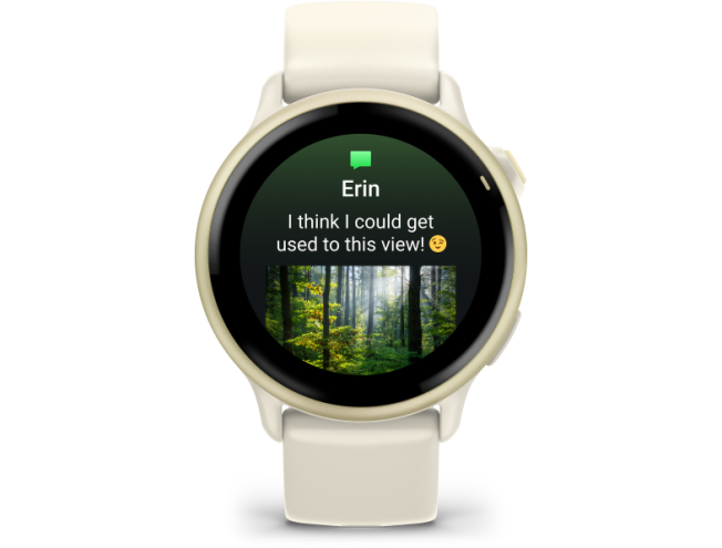 Nutikell Garmin vivoactive 6 Lunar Gold