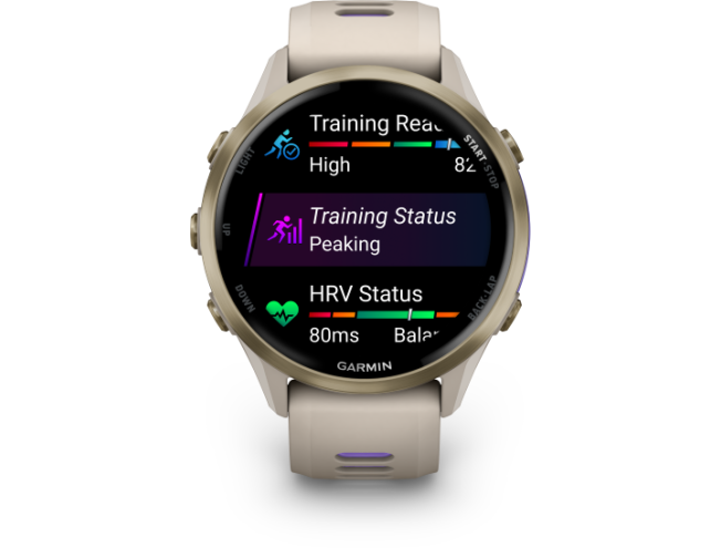 Spordikell Garmin Forerunner 970 French Grey