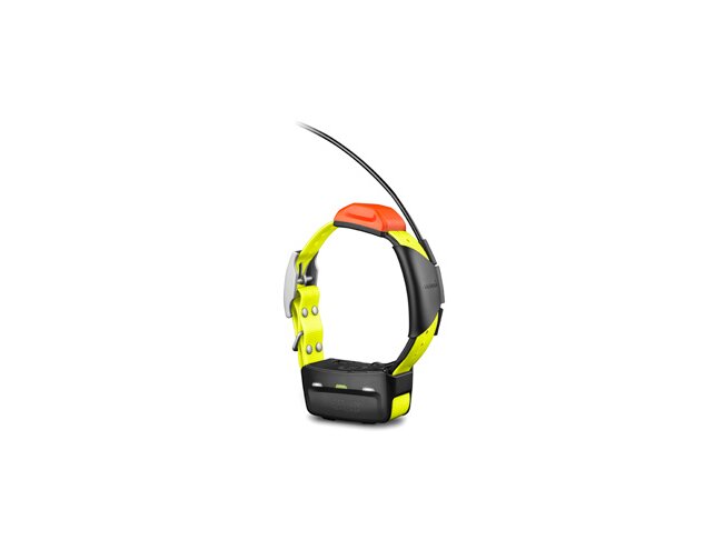 Garmin koera kaelarihm T5