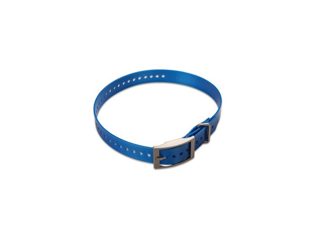 Koera kaelarihm 1" 010-11892-00 Sinine