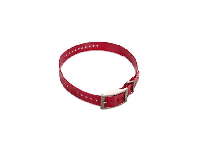 Koera kaelarihm 1" 010-11892-00 Punane