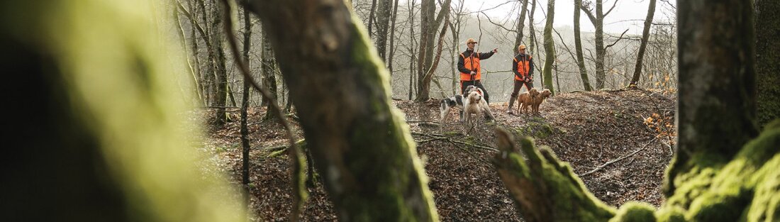 Podr&oacute;żuj bez problem&oacute;w.