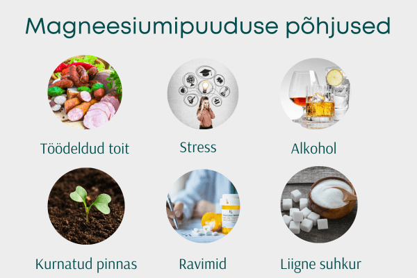 magneesiumipuuduse p&otilde;hjused