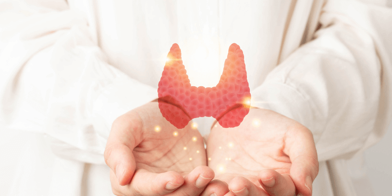 remyte toetab kilpn&auml;&auml;rme talitlust